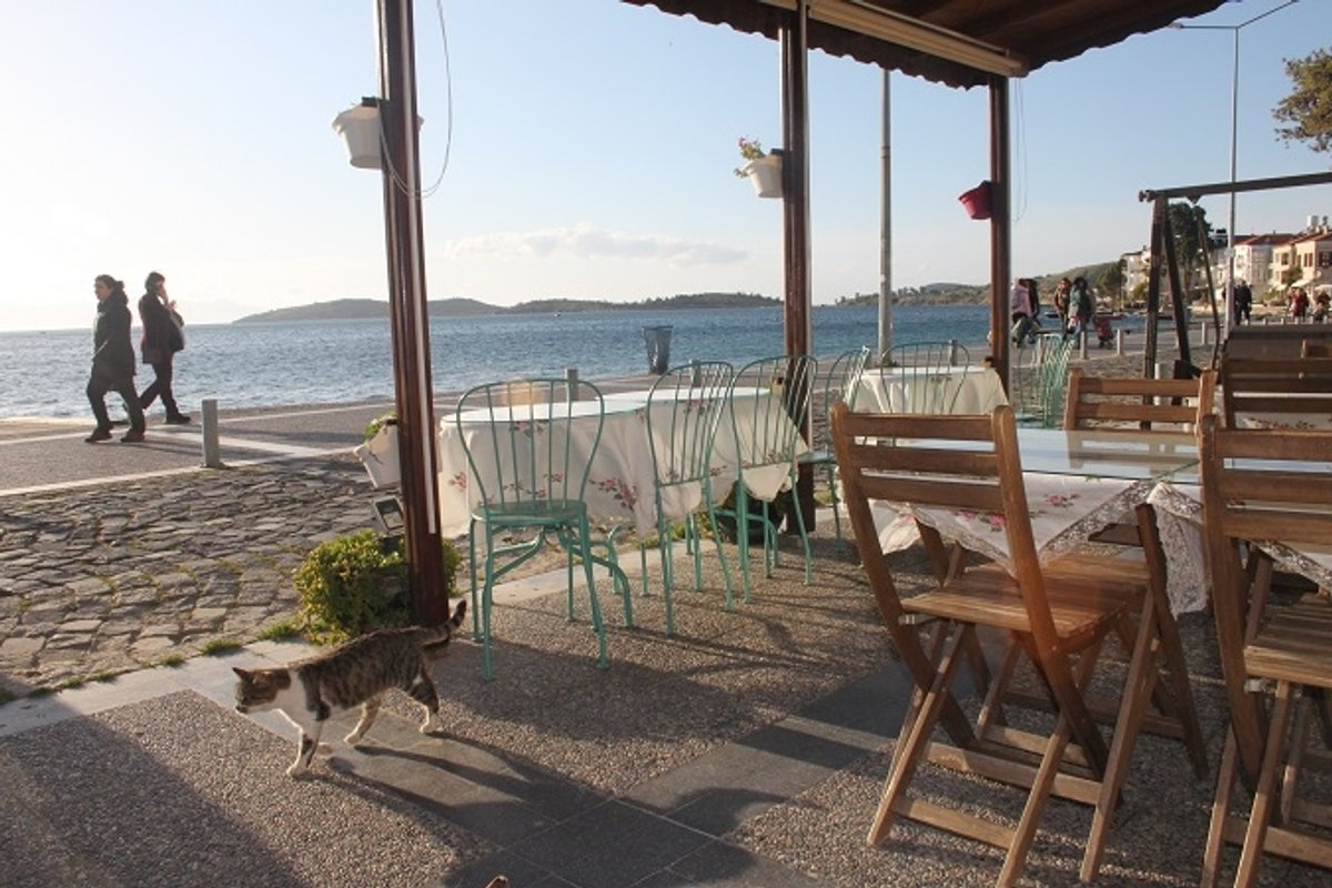 Foca Kumsal Hotel